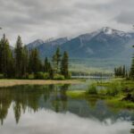 Blog 3