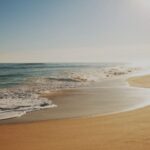 Blog 1